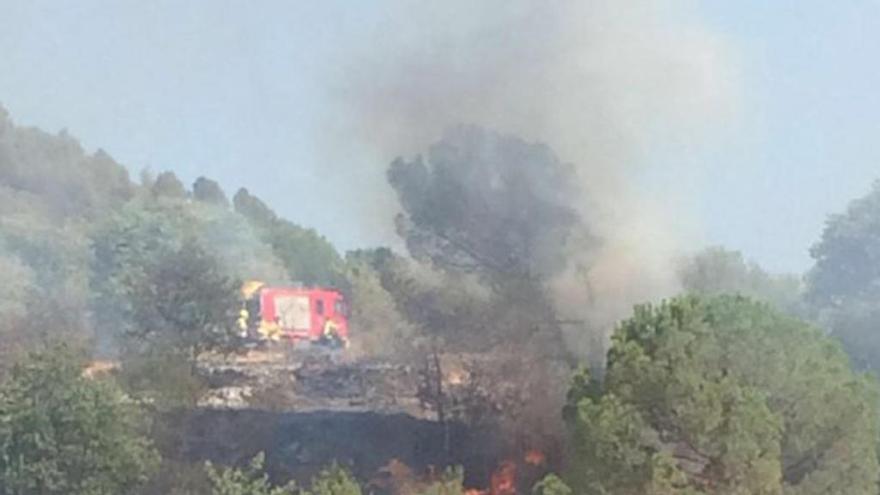 Denunciat l&#039;autor d&#039;un incendi gràcies a l&#039;anàlisi d&#039;ADN d&#039;una cigarreta