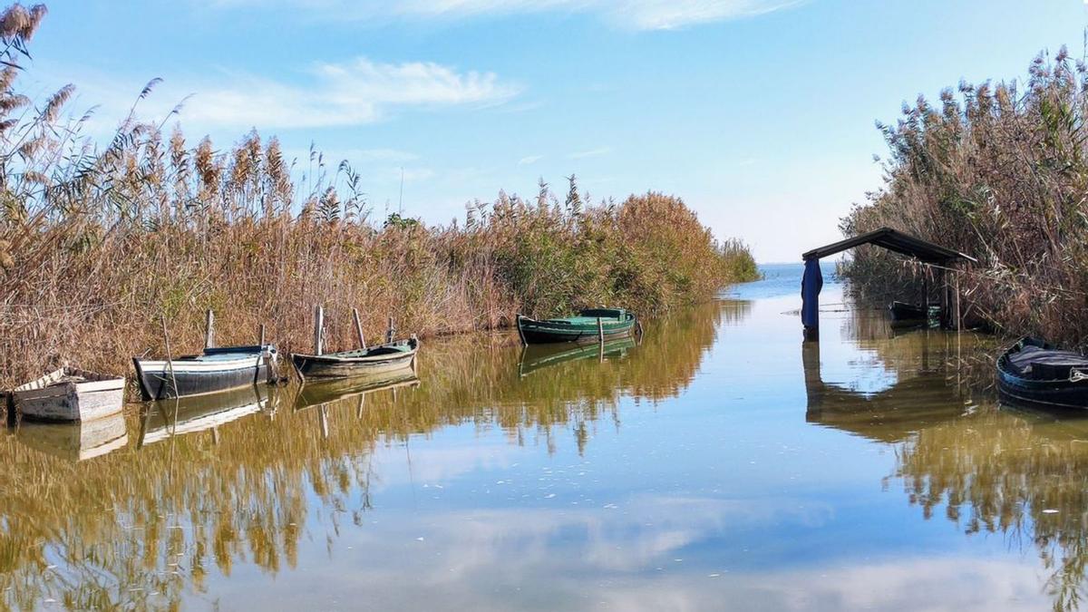 El Port de Silla todavía conserva cerca deuna decena de barcas de vela latina. |   M.H.S.