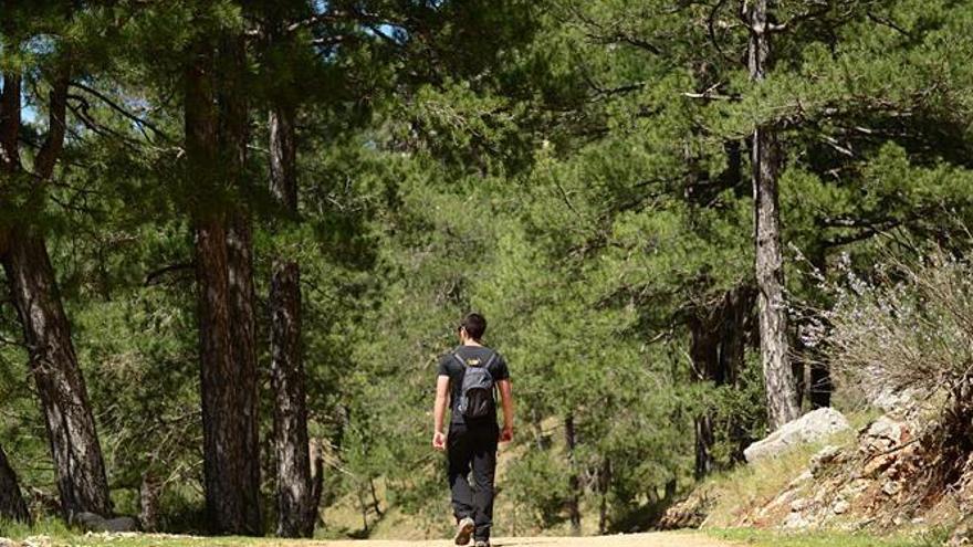 La Sierra de Cazorla, Segura y las Villas, un espacio natural privilegiado