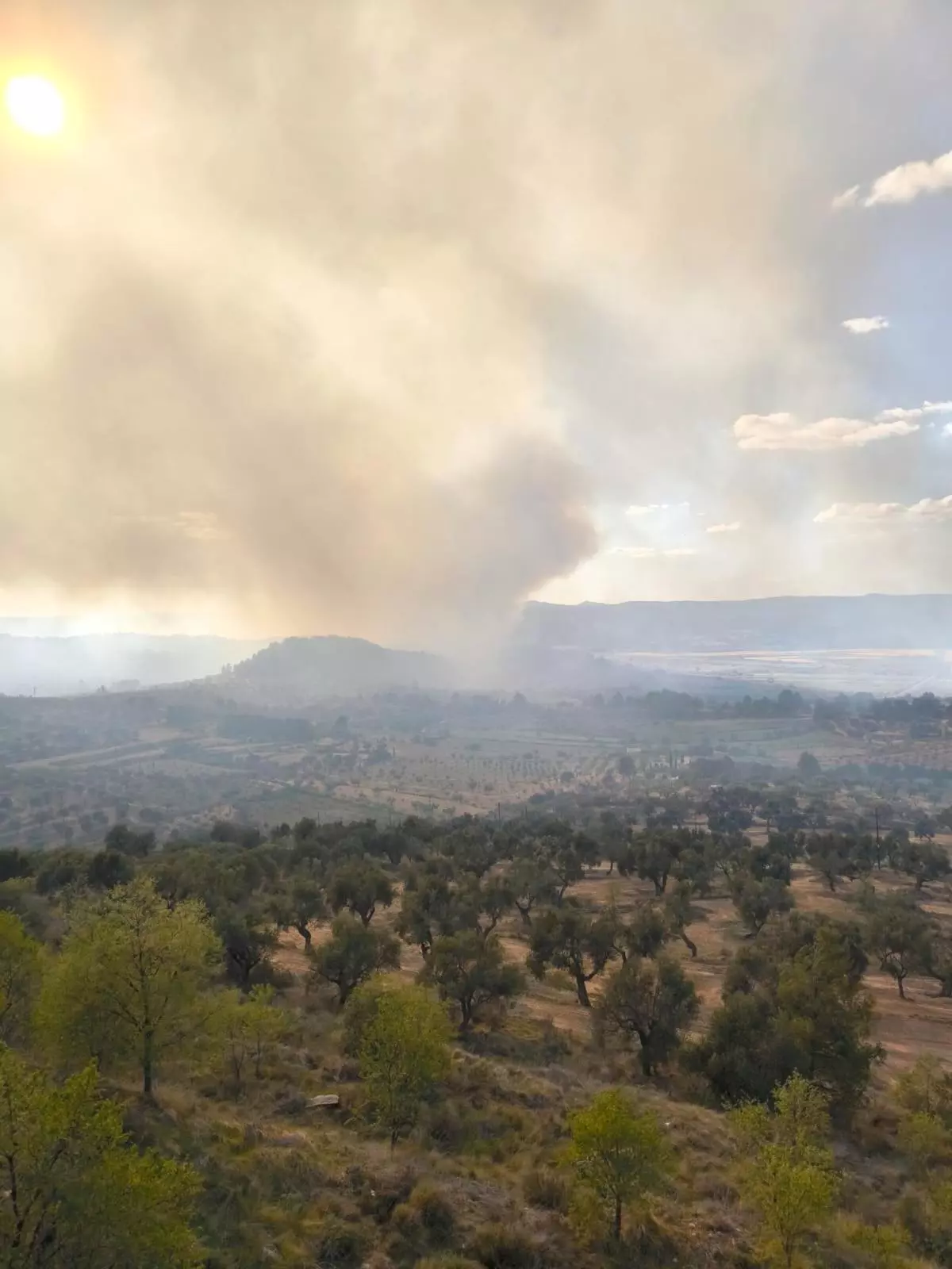 Un incendi iniciat a Aragó salta a Horta de Sant Joan i afecta una zona de conreus
