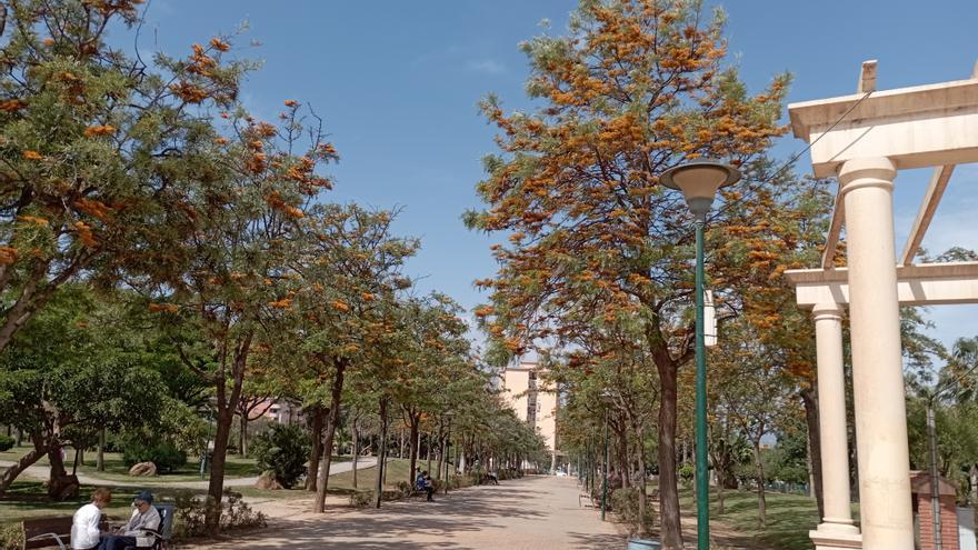 Actividades en el Parque Huelin con motivo del Día Mundial de la Salud