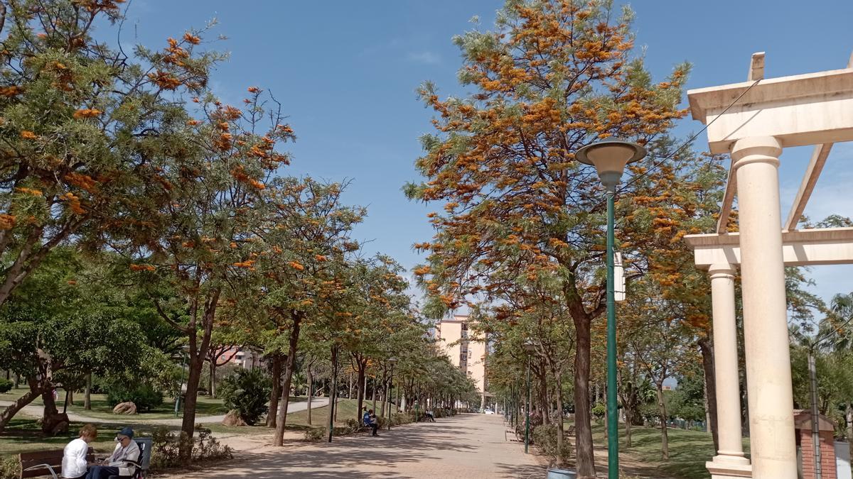 El Parque Huelin será el centro de las actividades municipales por el Día Mundial de la Salud.