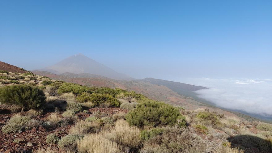 Canarias comienza la semana con intervalos nubosos a la espera de las lluvias