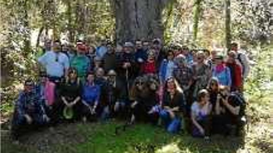 Unes 50 persones passegen per la plana agrícola de Tossa