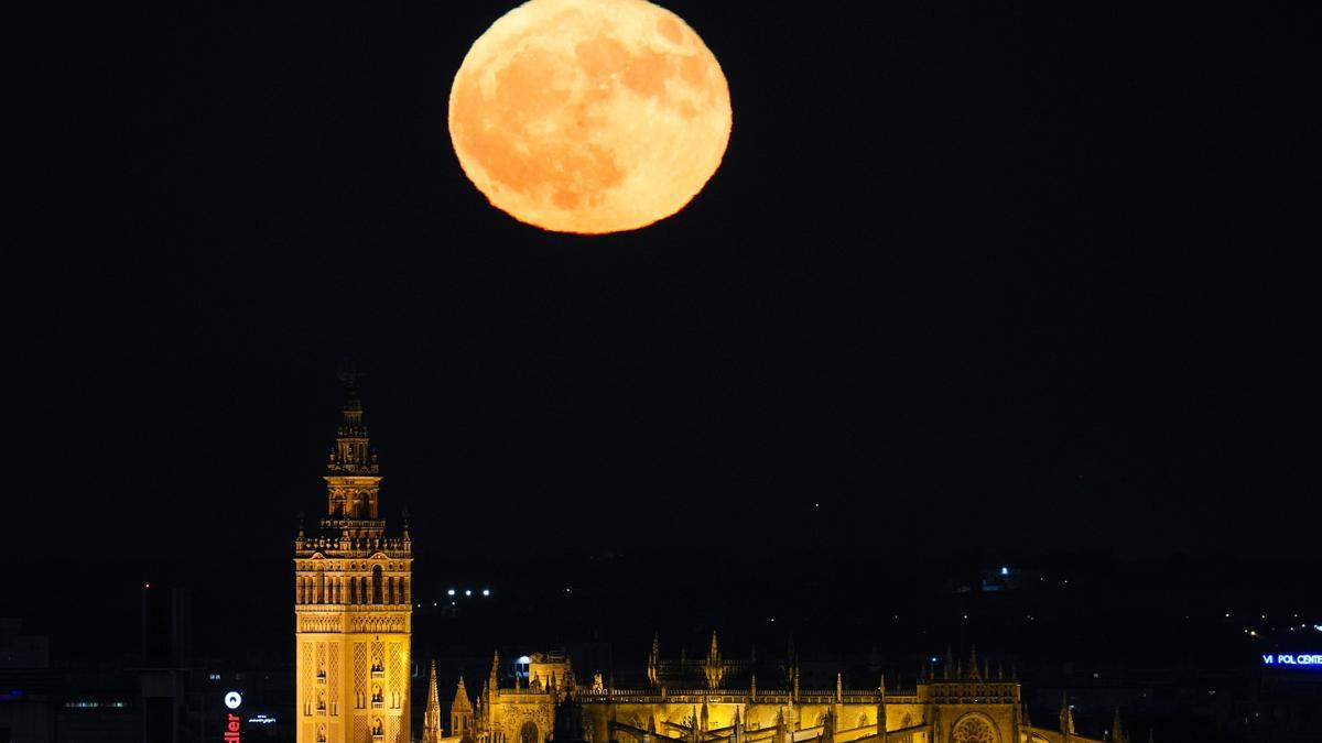 La “Superluna del Ciervo” es un fenómeno astronómico que ocurre cuando la luna llena de julio coincide con el perigeo, el punto en la órbita de la Luna en el que está más cerca de la Tierra, a 21 de julio de 2024 en Sevilla (Andalucía, España) La “Superluna del Ciervo” se ha podido ver hoy en Sevilla tras la Catedral, tras el sistema montañoso de Algamitas. 21 JULIO 2024 Joaquin Corchero / Europa Press 21/07/2024 / Joaquin Corchero;