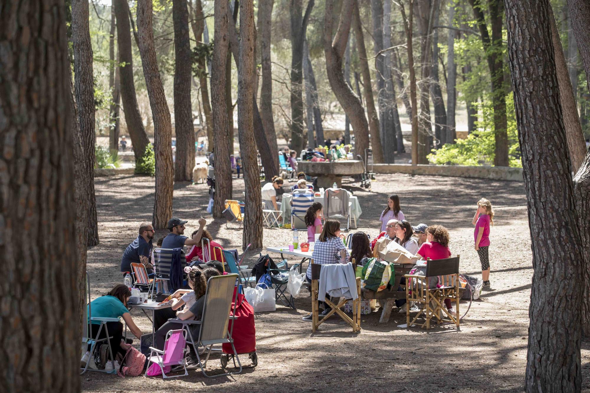 El Parc d San Vicent de Lliria vuelve a llenarse de familias dos años depués