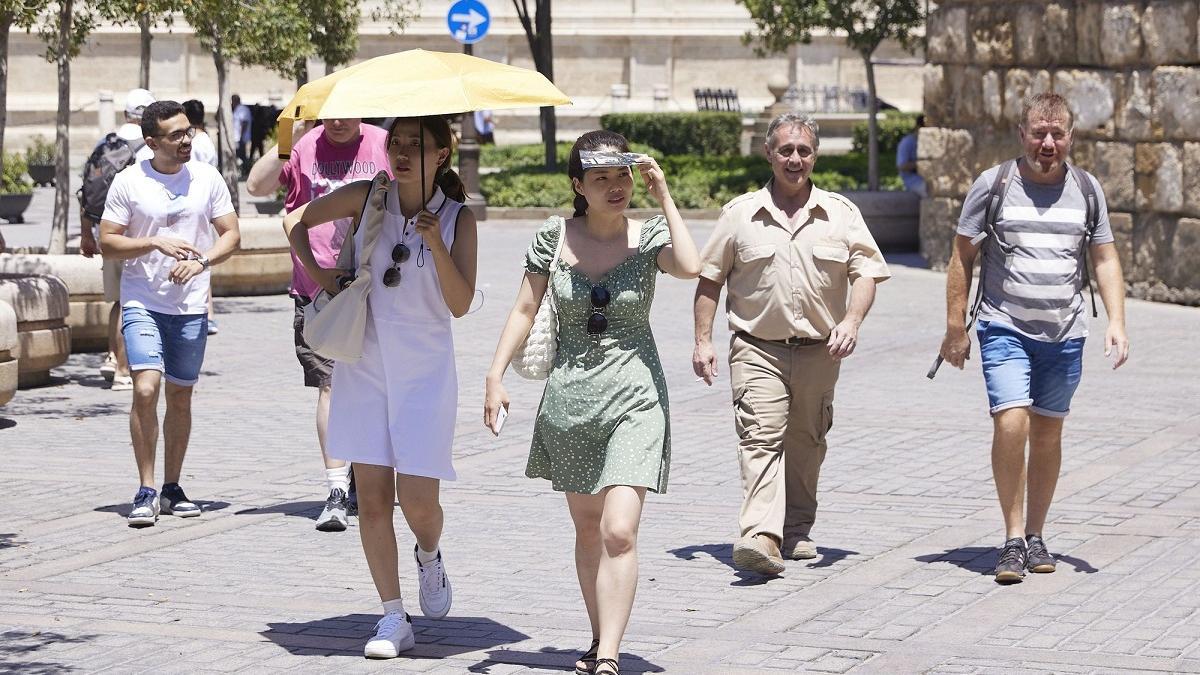 El calor afecta negativamente al cerebro, por eso es conveniente cubrir la cabeza.