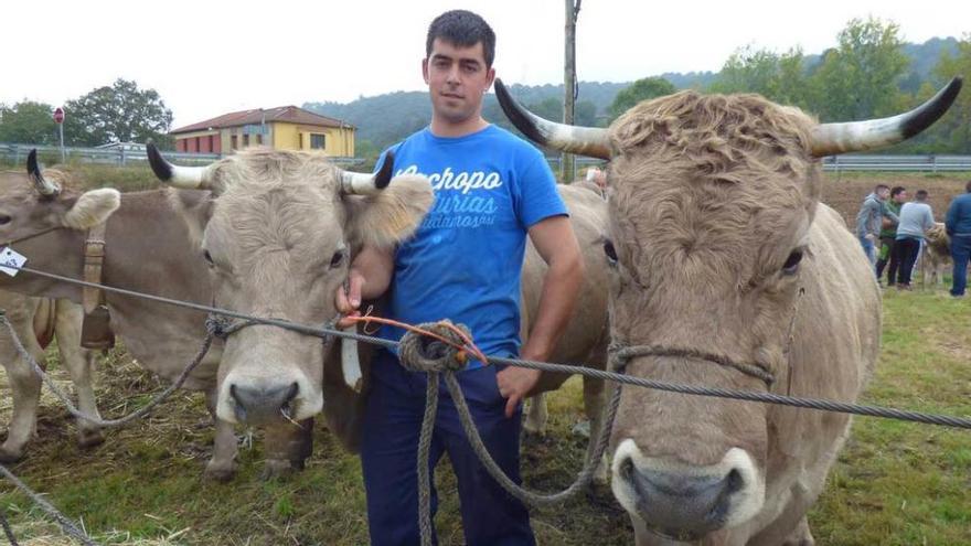 Francisco Javier Cobiella con sus pardas de montaña.