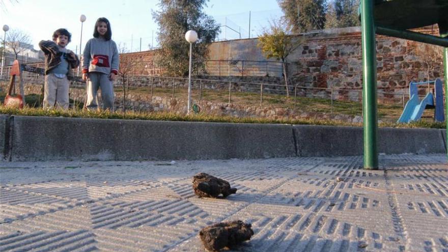 Policías de paisano vigilarán si se cumplen las normas sobre perros en Plasencia