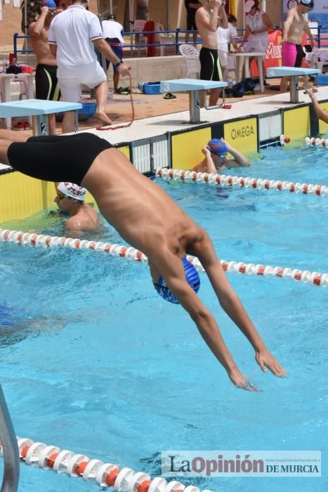 Final del Campeonato regional de natación.