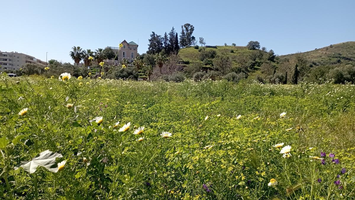 El caserón de La Virreina, esta semana en plena primavera.