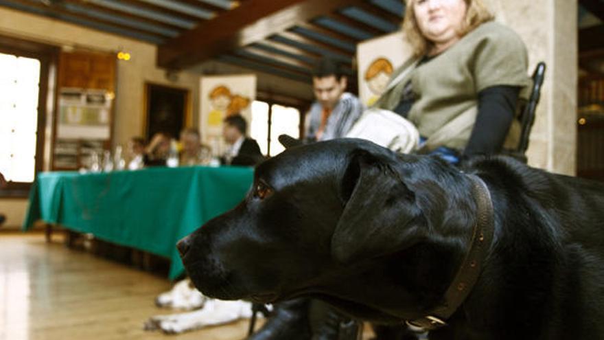 Una mujer invidente junto a su perro guía.