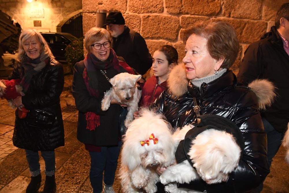 Bendición de mascotas en A Coruña