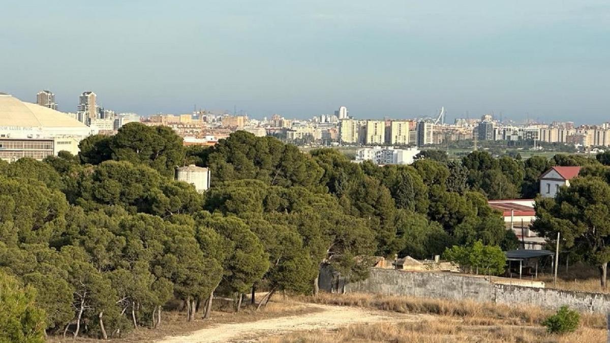 Zona del cuartel militar con masa arbórea donde se prevé el desarrollo urbanístico.