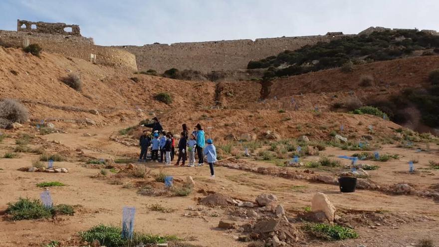 Los scout de Inmhala Panzi limpian caminos y &#039;guían&#039; a los vehículos