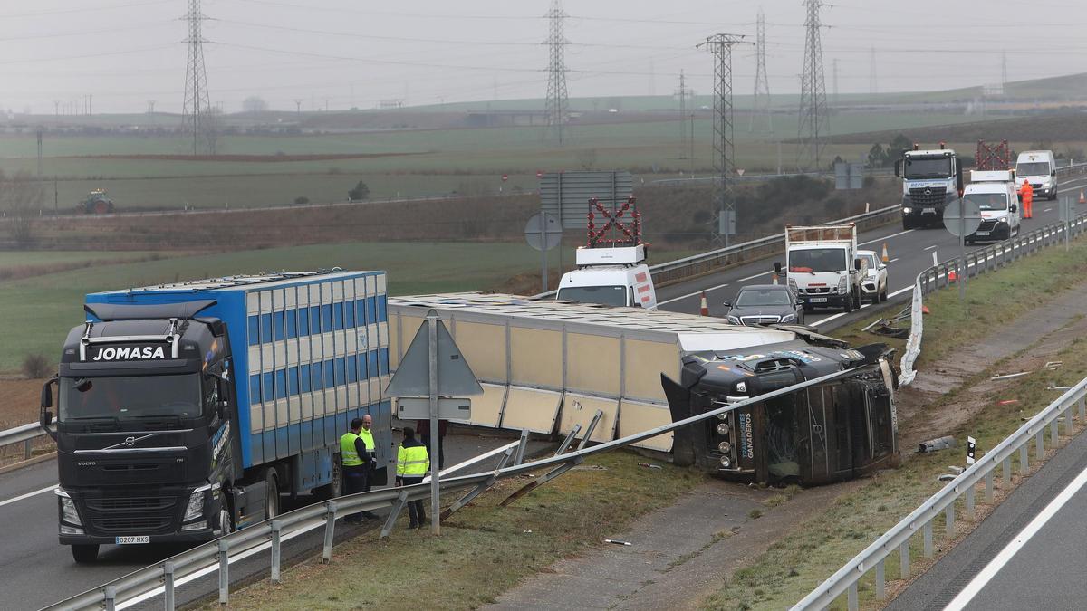 Accidente de un trailer de transporte de ganado en la A231 término de Ososrno (Palencia).