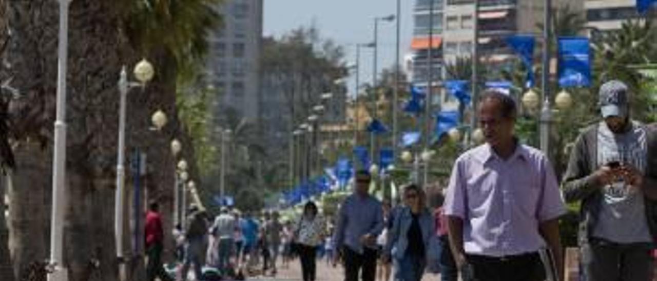 Puesto de venta de productos falsificados ayer en la zona de ocio del puerto de Alicante.