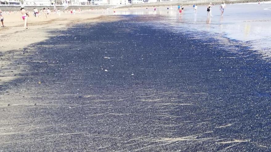 El arenal de San Lorenzo, con nuevas manchas de carbón