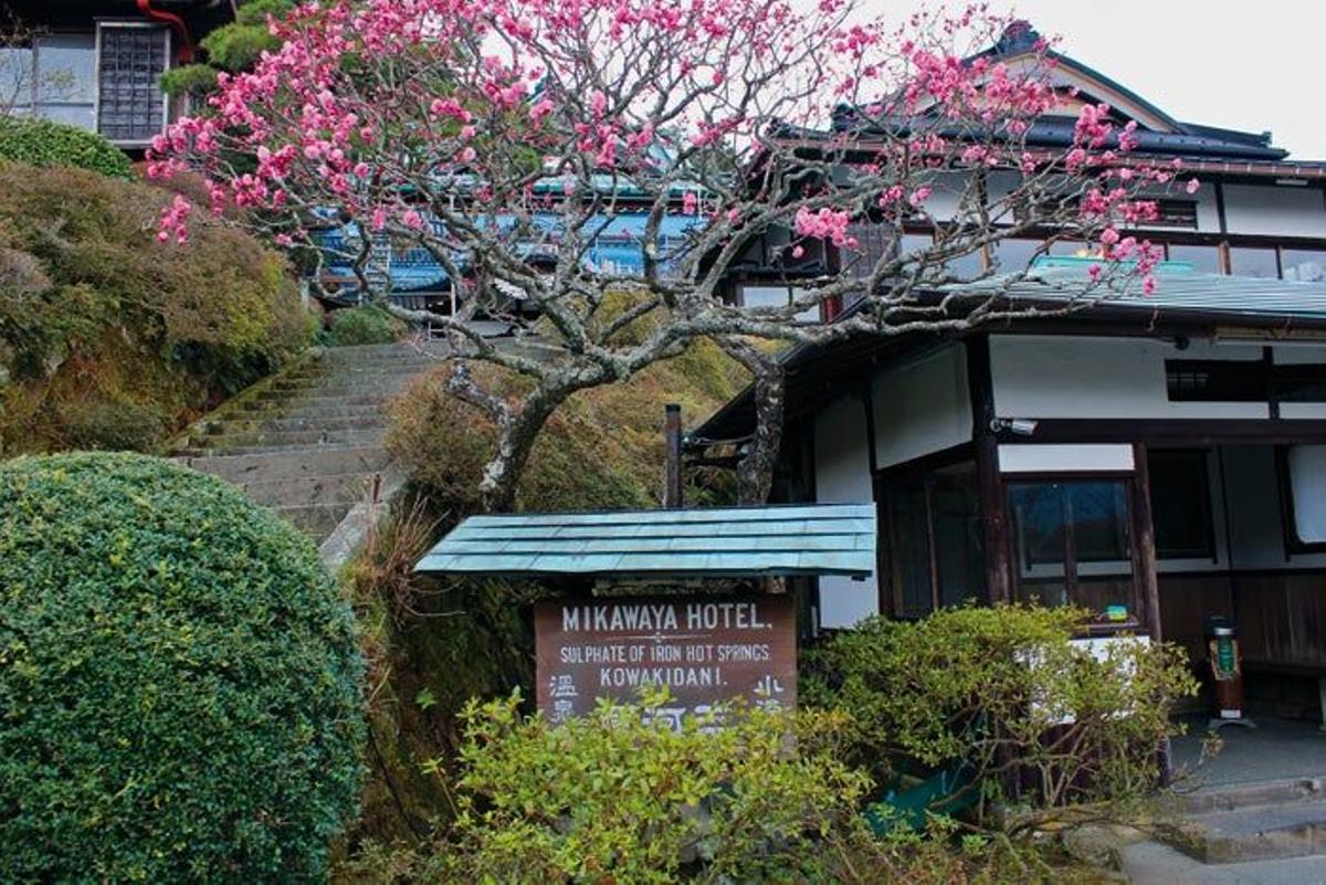 Mikawaya, Hakone