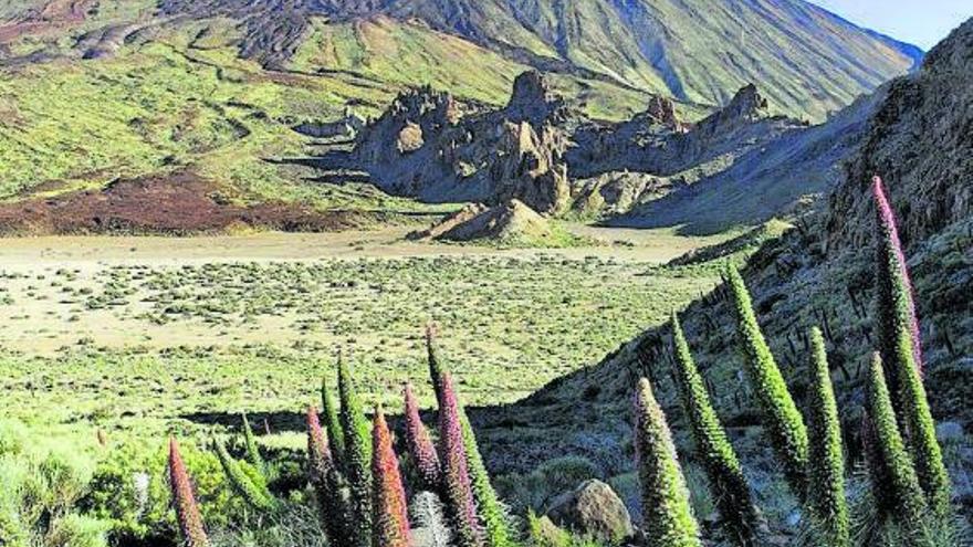 Visualizan por primera vez un ‘corazón caliente’ bajo el Teide