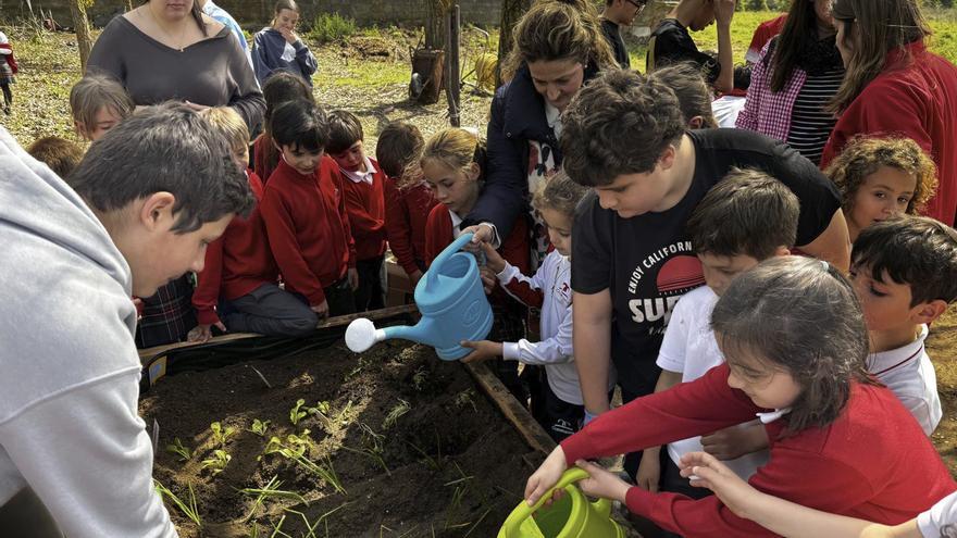 El Corazón de María pone el "verde" en su modelo educativo
