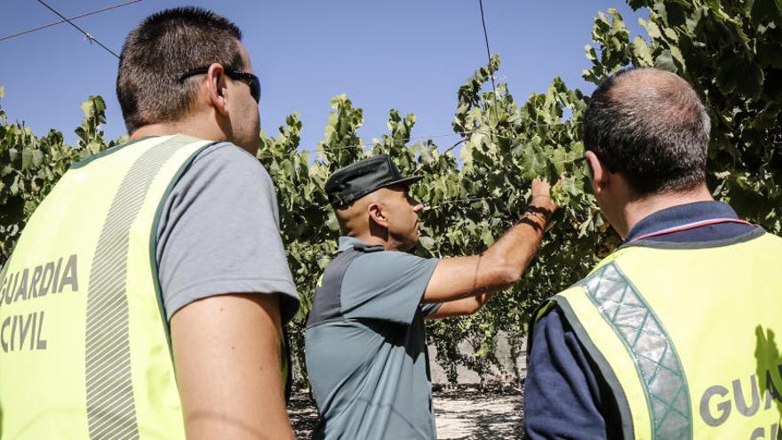 Menos robos en el campo