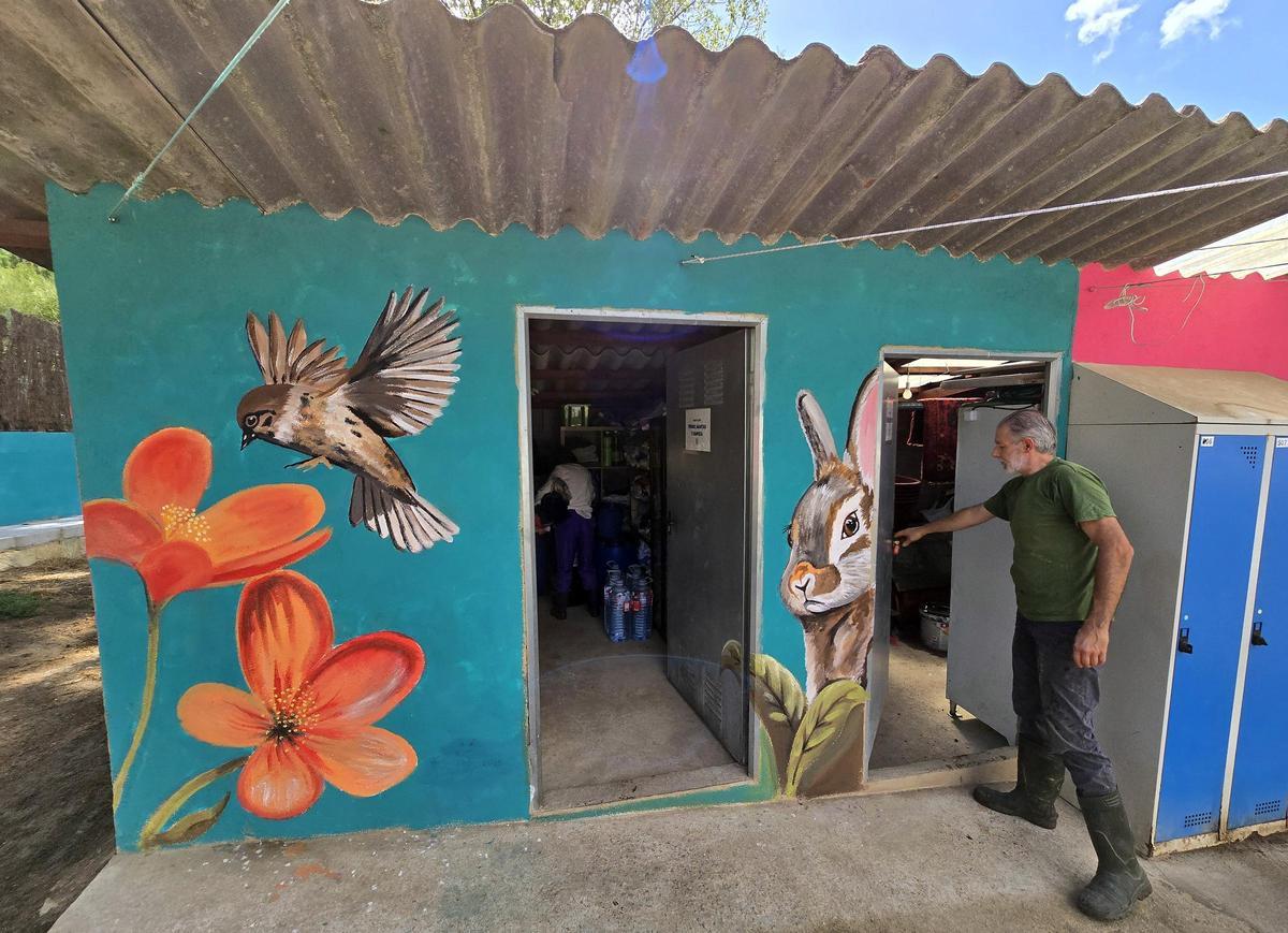 Otro de los murales que pintó Eva Casais en la protectora de perros Os Biosbardos en Ponteareas