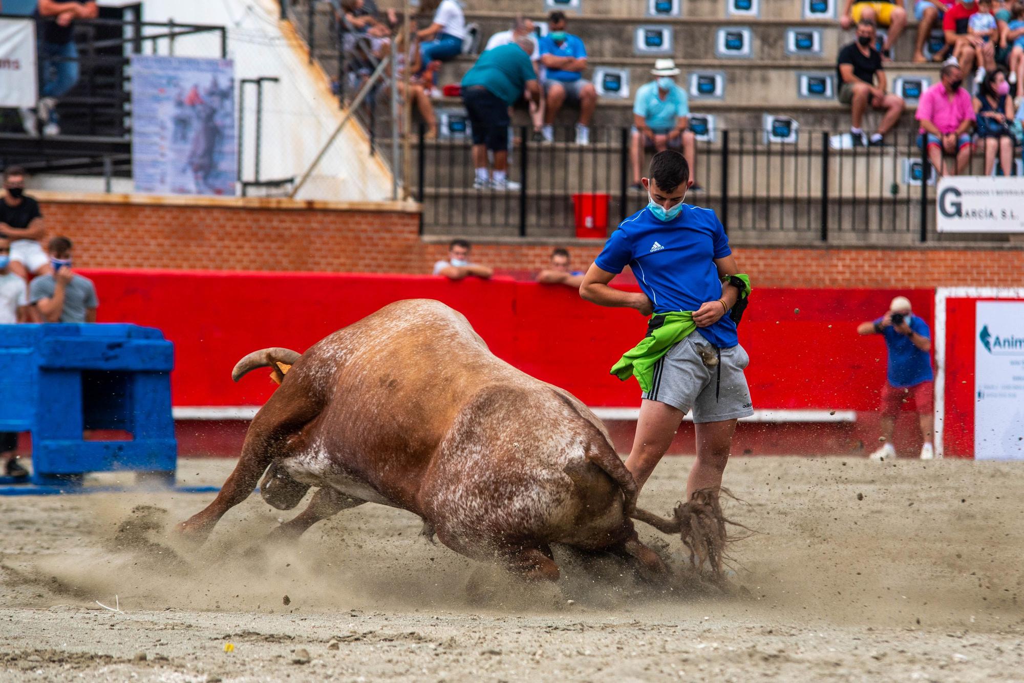 La Pascua Taurina devuelve tras 565 días la emoción de los ‘bous’ a Onda