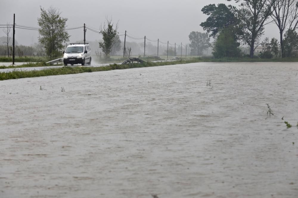 Camps inundats a Serra de Daró