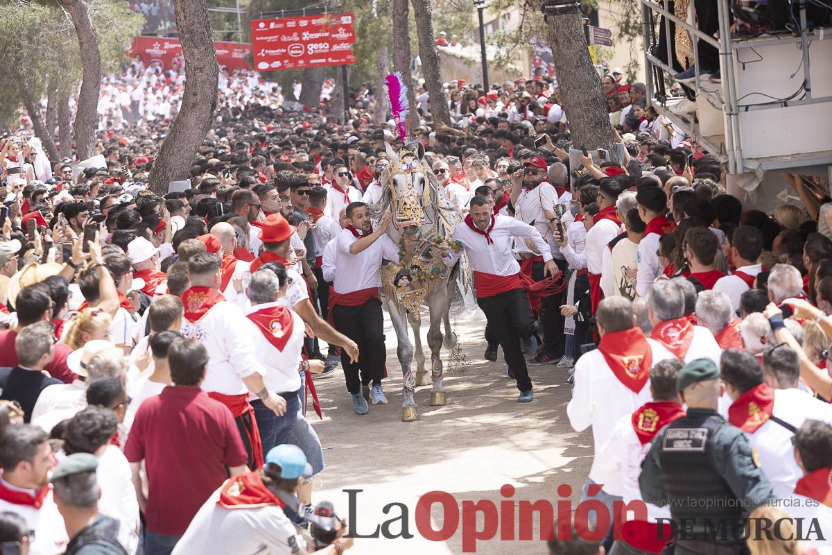 Así se ha vivido la carrera de Los Caballos del Vino en Caravaca