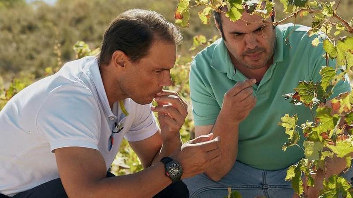 Rafa Nadal se lanza al mundo del vino: presenta  El Tenista , su nuevo proyecto empresarial