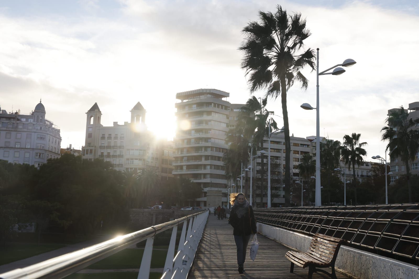 Comienzan a replantar el Puente de las Flores