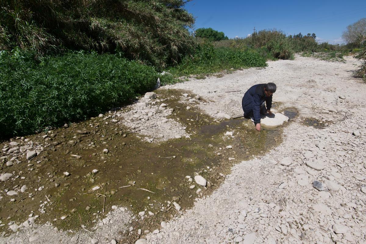 Una de las zonas con agua de retorno donde se refugian algunos peces en el tramo final del río Francolí.