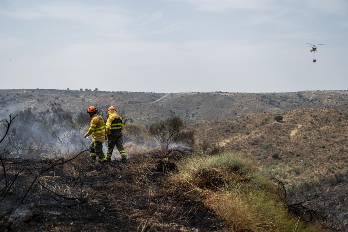 Fotogalería | Así ha sido el incendio forestal en Garrovillas de Alconetar