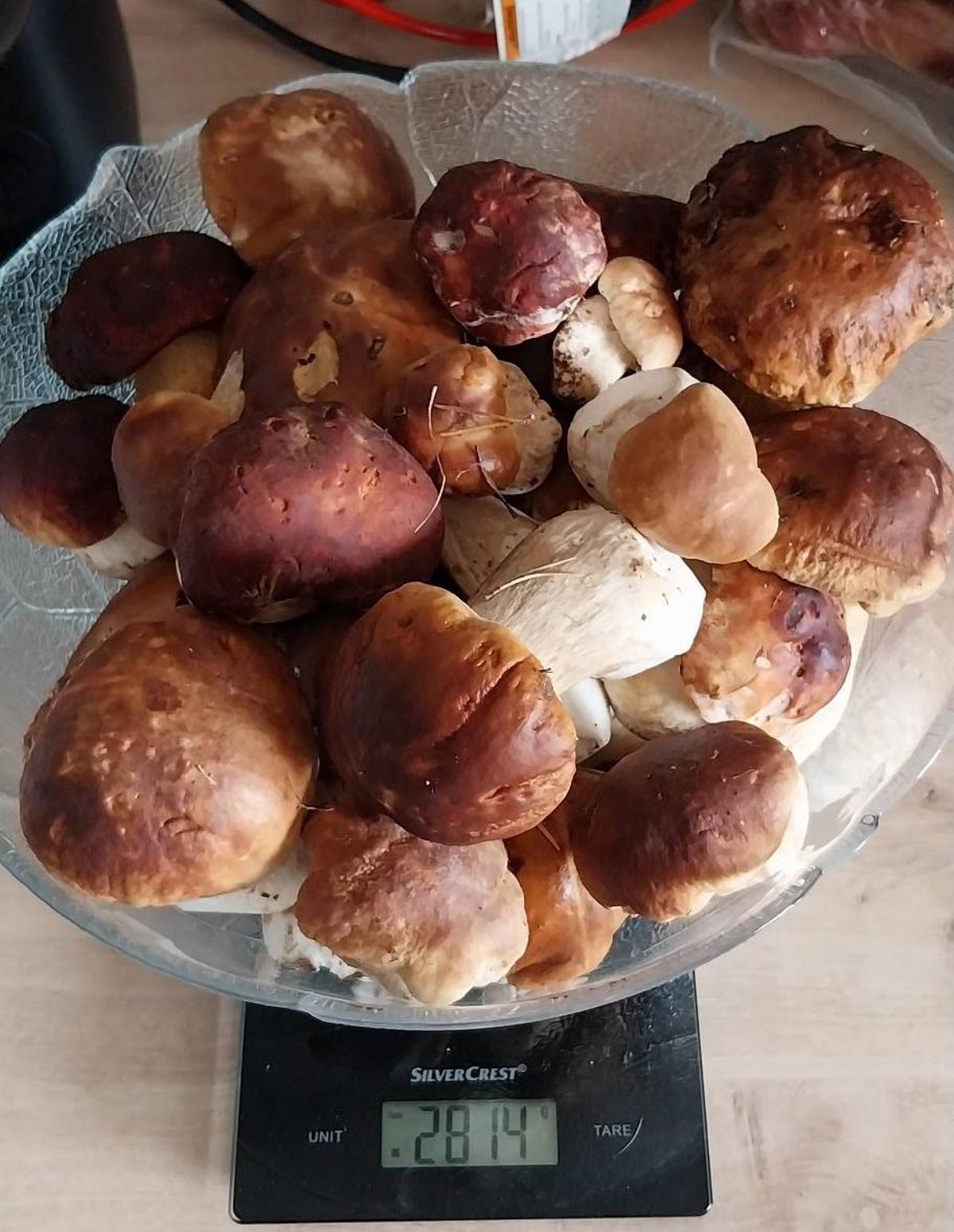 Una boletada de ceps a la Cerdanya aquesta setmana