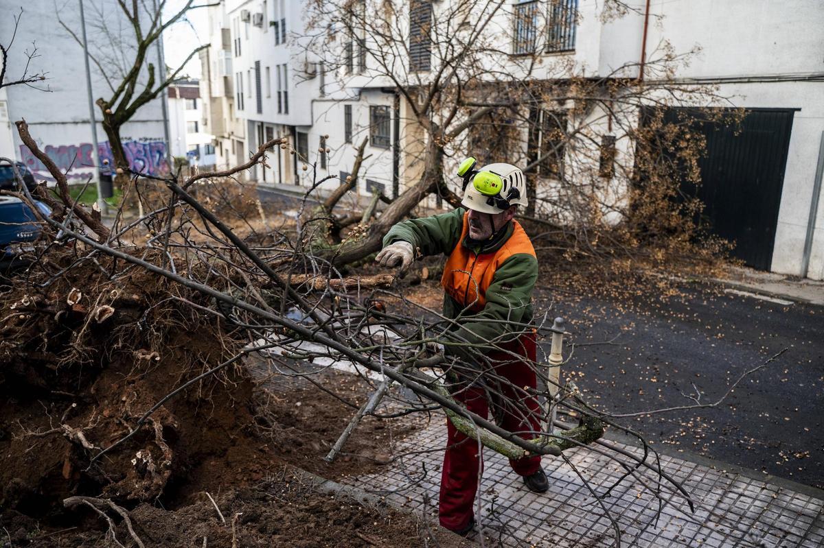 Fotogalería | El temporal en Cáceres, más imágenes