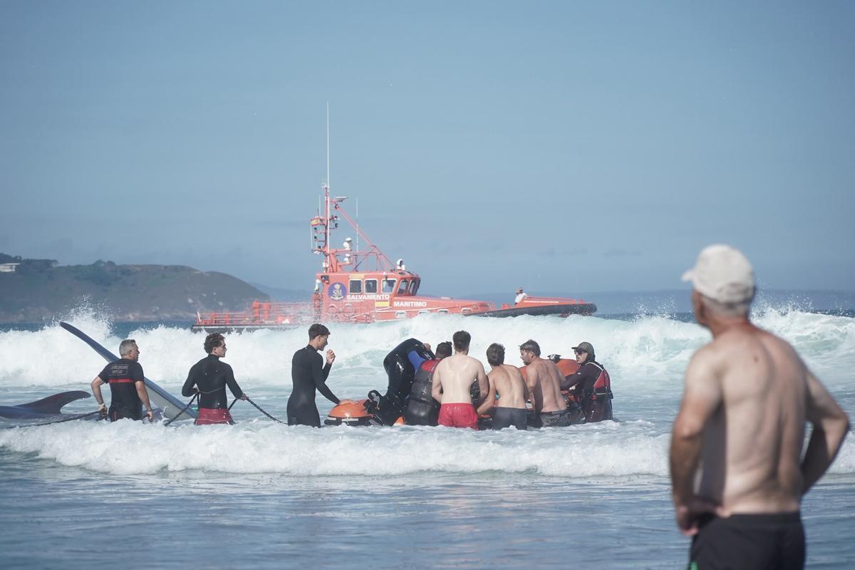 Rescate de la ballena varada en Arteixo