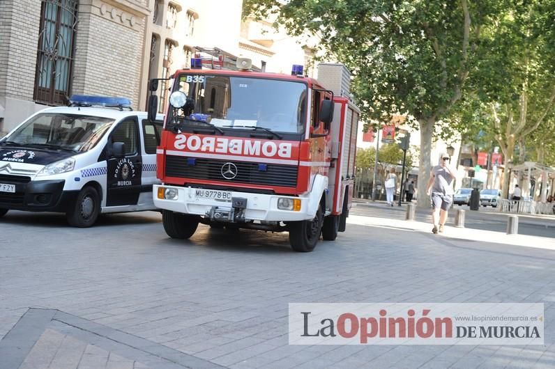 El día después de la caída de la rama del ficus de