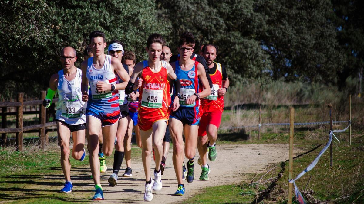 Varios deportistas del club de atletismo durante una carrera por los caminos de la dehesa.