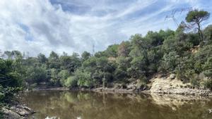 Paisaje del Llac Petit de Terrassa.