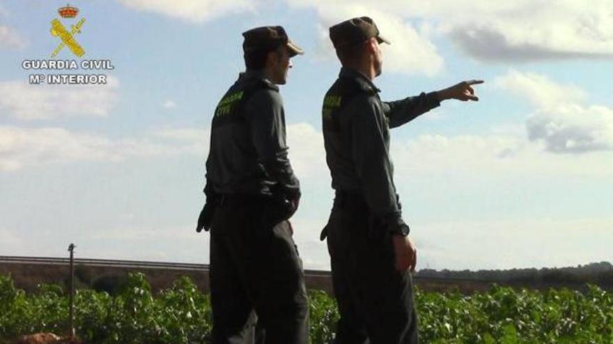 Dos guardias civiles, durante una vigilancia en una zona rural en Mallorca.