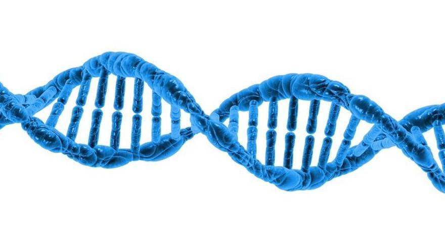 S&#039;acusa al metge d&#039;experimentar amb éssers humans per l&#039;edició de l&#039;ADN.