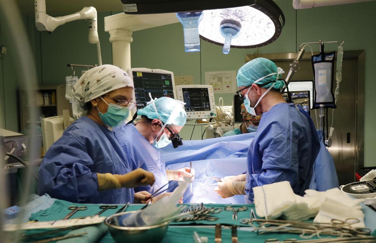 Una cirugía para un trasplante cardiaco en el hospital la Fe, una de las 1.000 realizadas desde 1978.