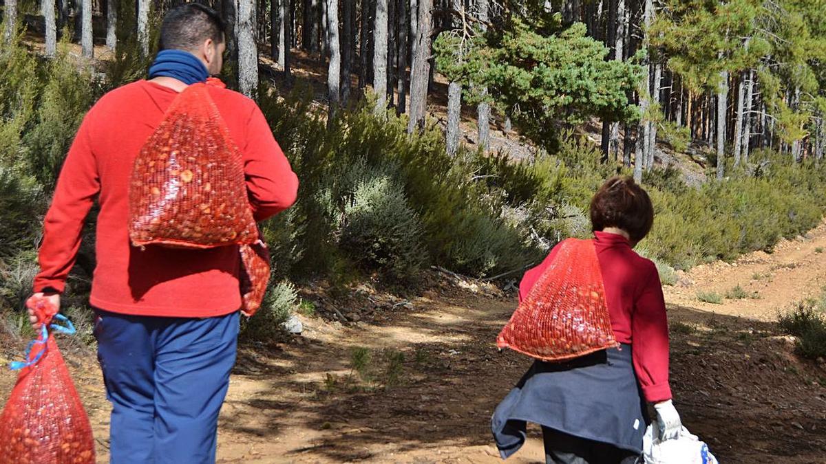 Dos vecinos de Ferreras de Arriba lograron llenar varios sacos de castañas. | Araceli Saavedra