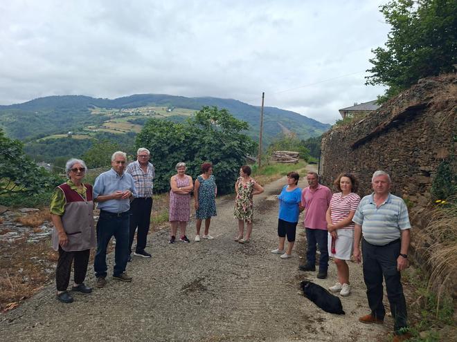 En imágenes: Los vecinos de Miñagón, en Boal, viven con desesperación la invasión de hormigas que sufre el pueblo
