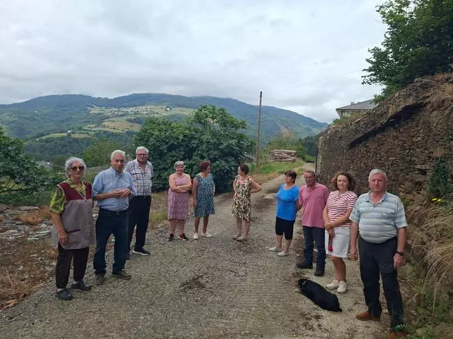 En imágenes: Los vecinos de Miñagón, en Boal, viven con desesperación la invasión de hormigas que sufre el pueblo