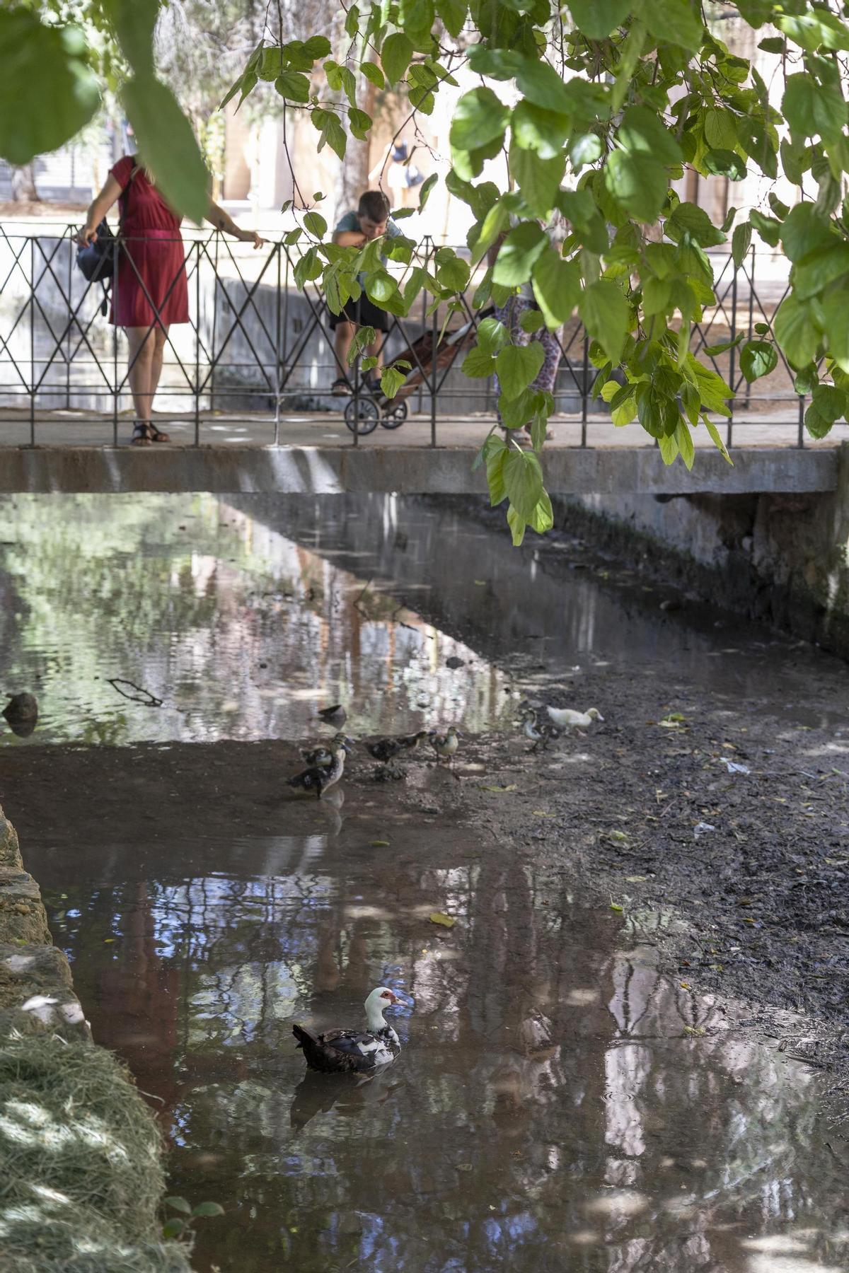 El rio Sants, de nuevo seco a su paso por Canals