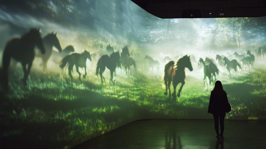 Un cineasta gallego ganador de dos Emmy acerca a EEUU una de las fiestas más populares de Galicia