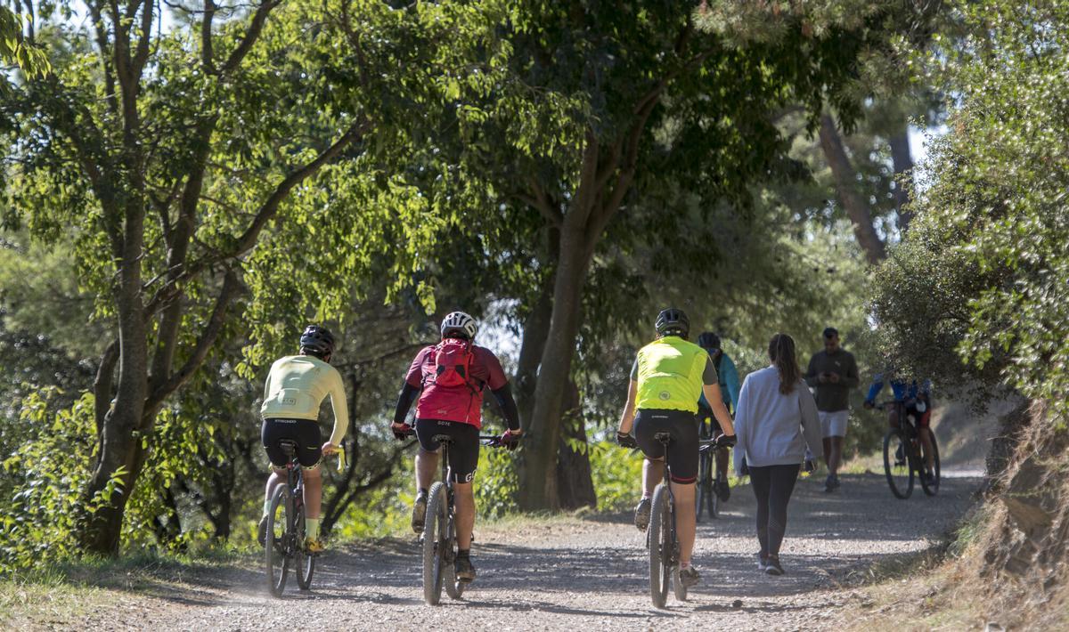 Collserola torna a obrir-se a activitats al medi natural però només grups de menys de 10 persones