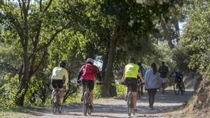 Collserola torna a obrir-se a activitats al medi natural però només grups de menys de 10 persones